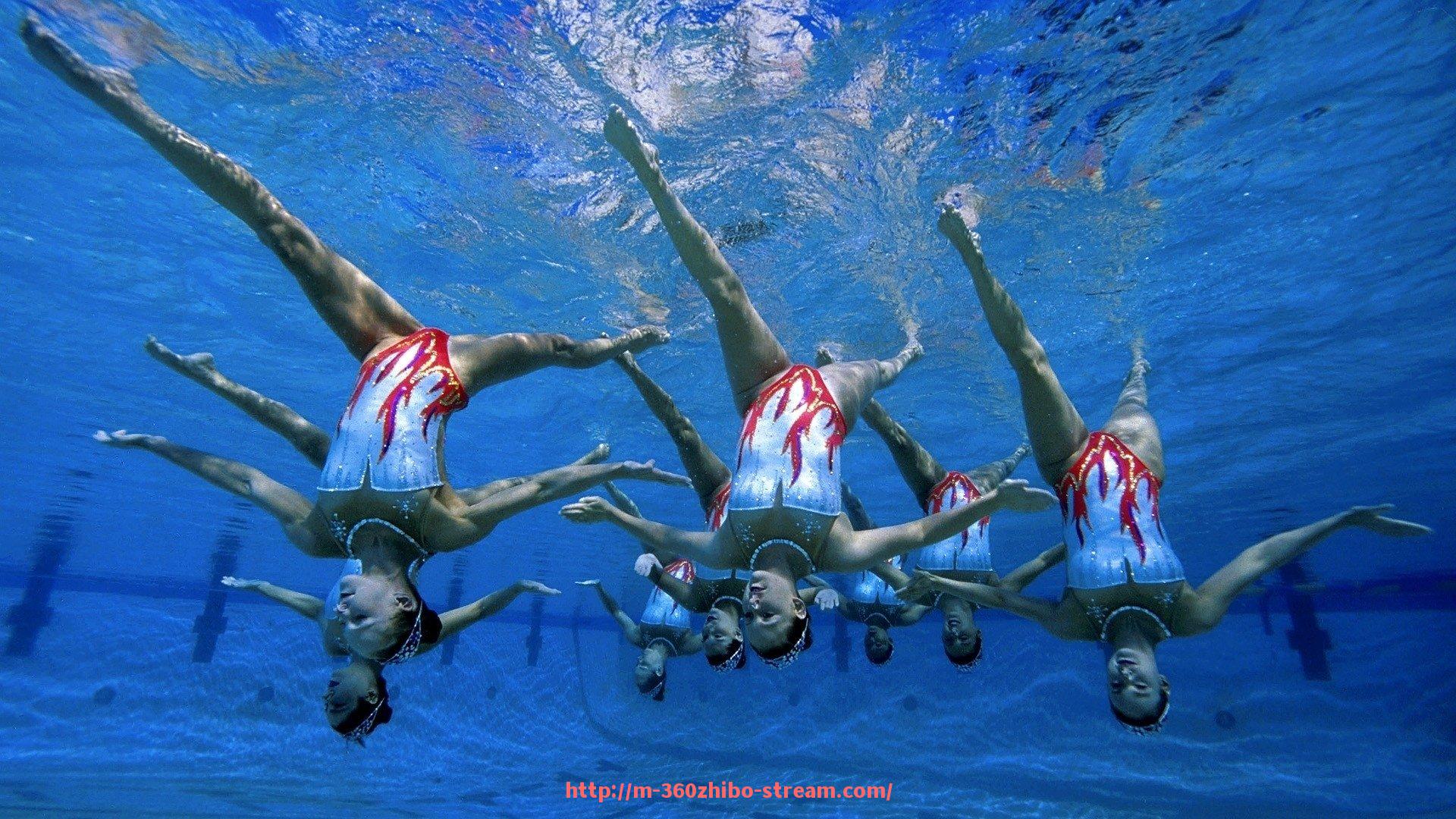 360直播-健身器材的种类解析与选择技巧